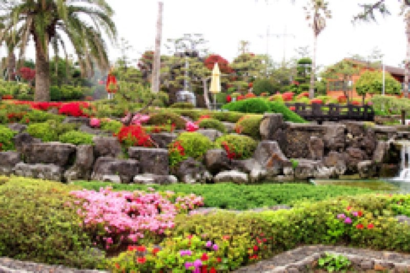 Jeju Trolley Limousine Tour (제주 트롤리 버스(Trolley Bus)) (2/5)
