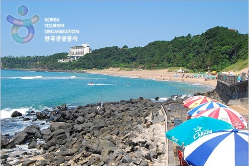 Jeju Trolley Limousine Tour (제주 트롤리 버스(Trolley Bus)) (4/5)