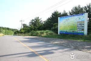 Mysterious Road 