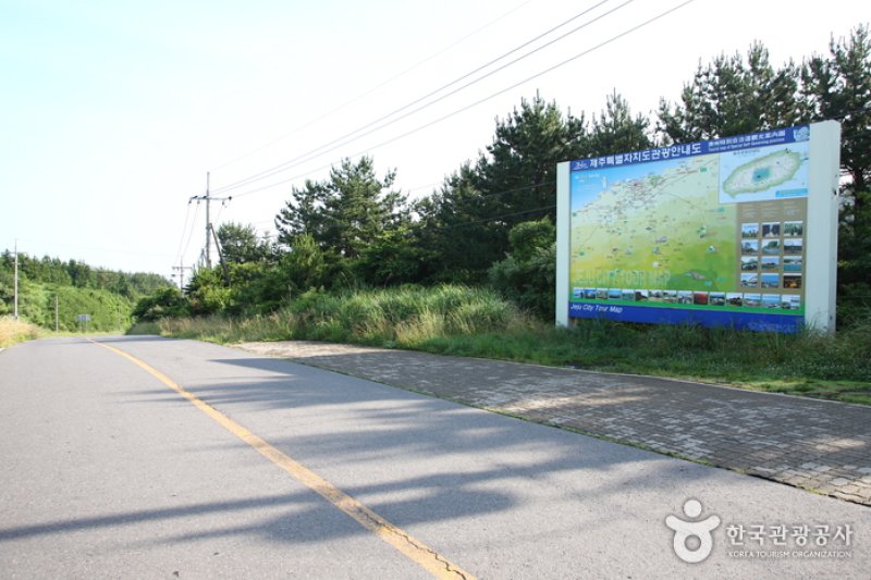 Mysterious Road  (1/2)
