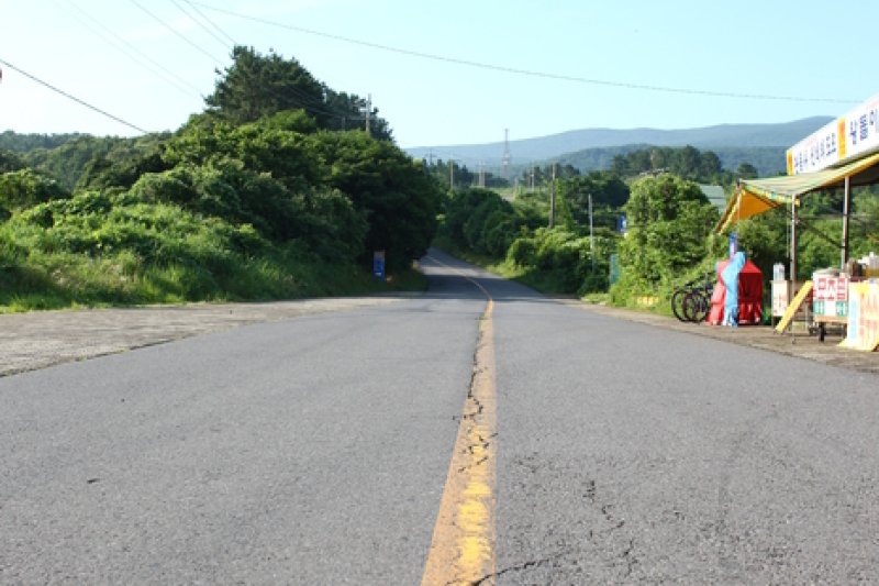 Mysterious Road  (2/2)
