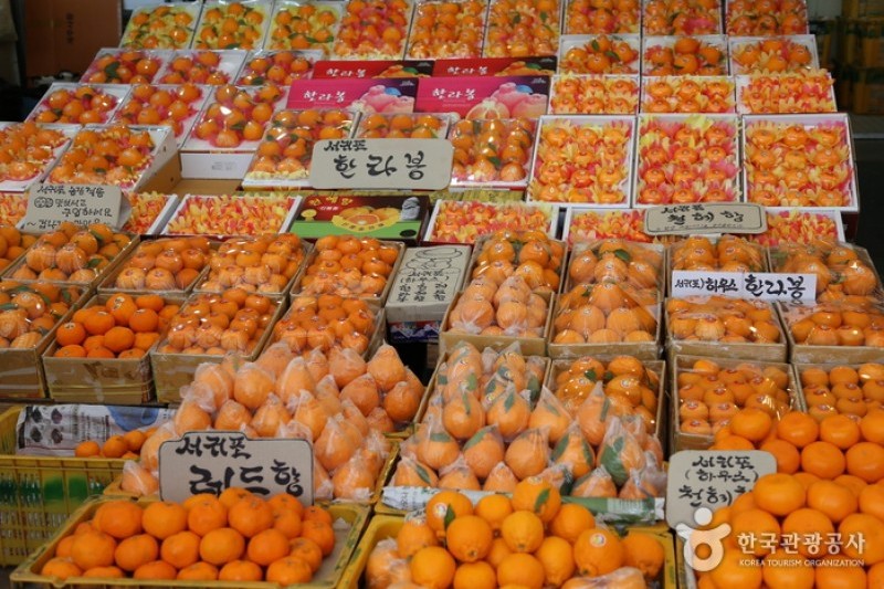 Jeju Dongmun Traditional Market  (5/8)