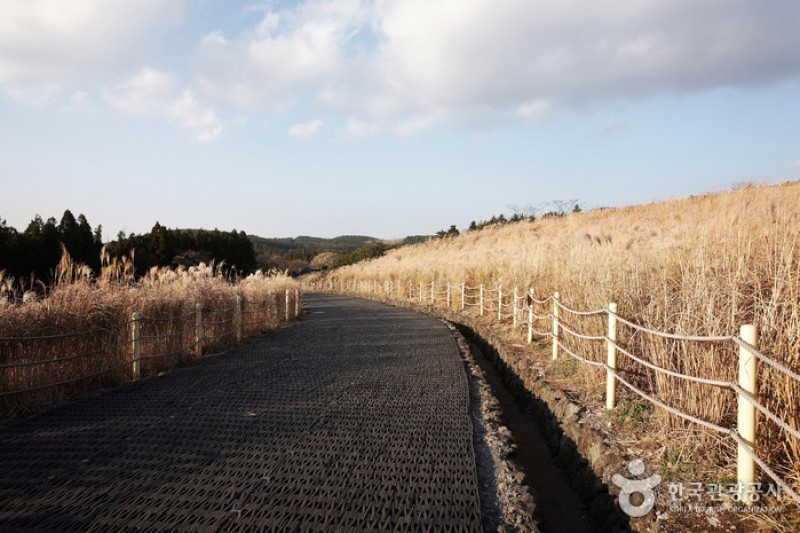 Sangumburi Crater  (5/6)