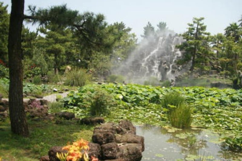 Hallim Park  (9/11)