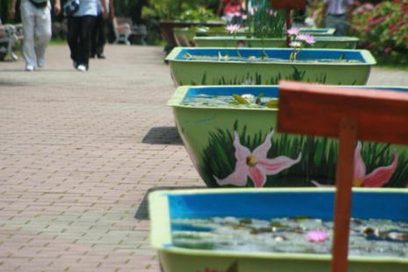 Hallim Park  (11/11)