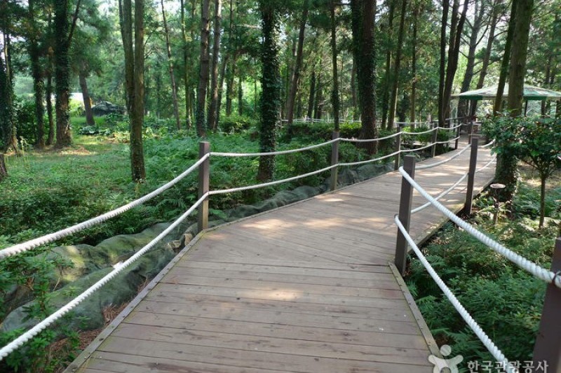 Gimnyeong Maze Park  (1/24)