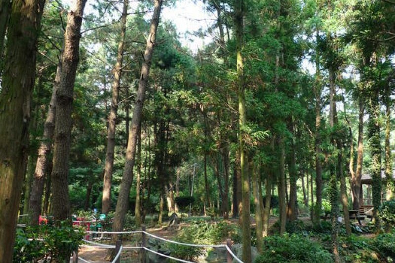 Gimnyeong Maze Park  (2/24)