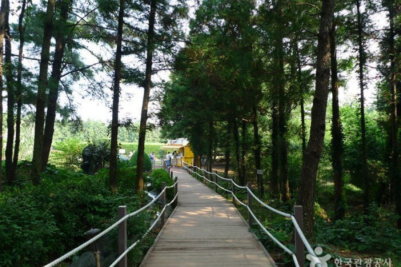 Gimnyeong Maze Park  (4/24)