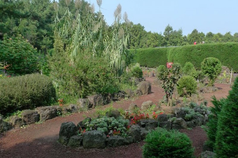 Gimnyeong Maze Park  (6/24)