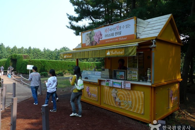 Gimnyeong Maze Park  (7/24)
