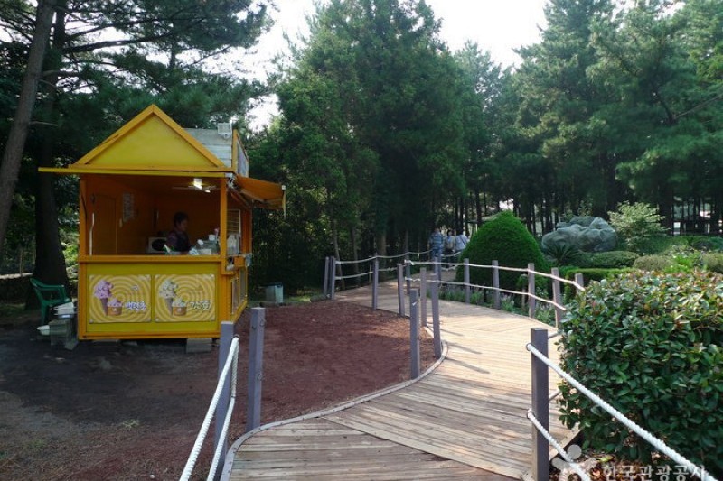Gimnyeong Maze Park  (9/24)