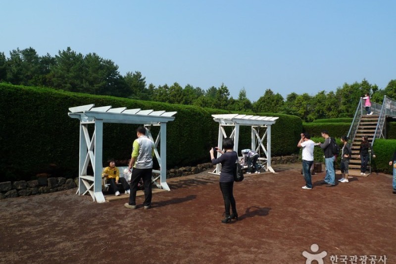 Gimnyeong Maze Park  (10/24)
