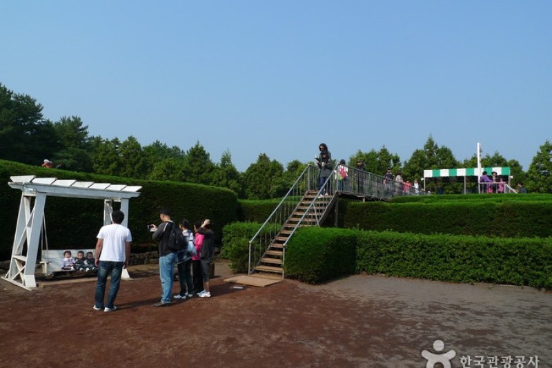 Gimnyeong Maze Park  (12/24)