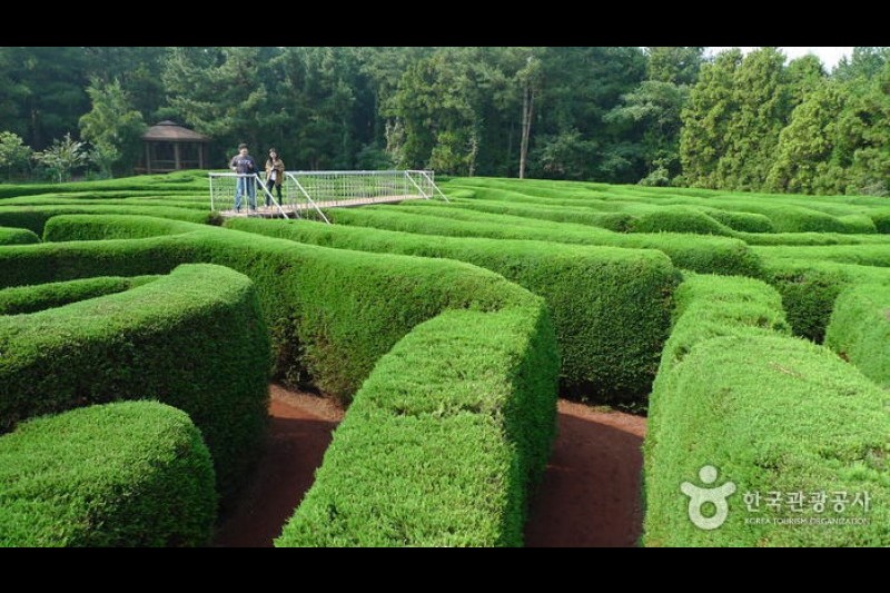 Gimnyeong Maze Park  (13/24)