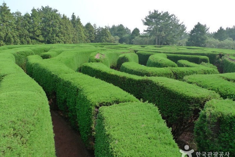 Gimnyeong Maze Park  (14/24)