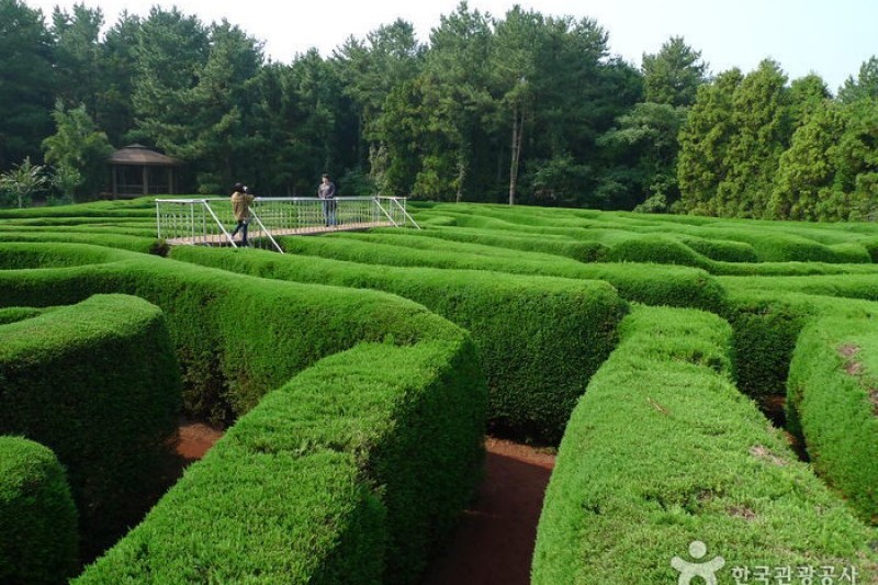Gimnyeong Maze Park  (15/24)