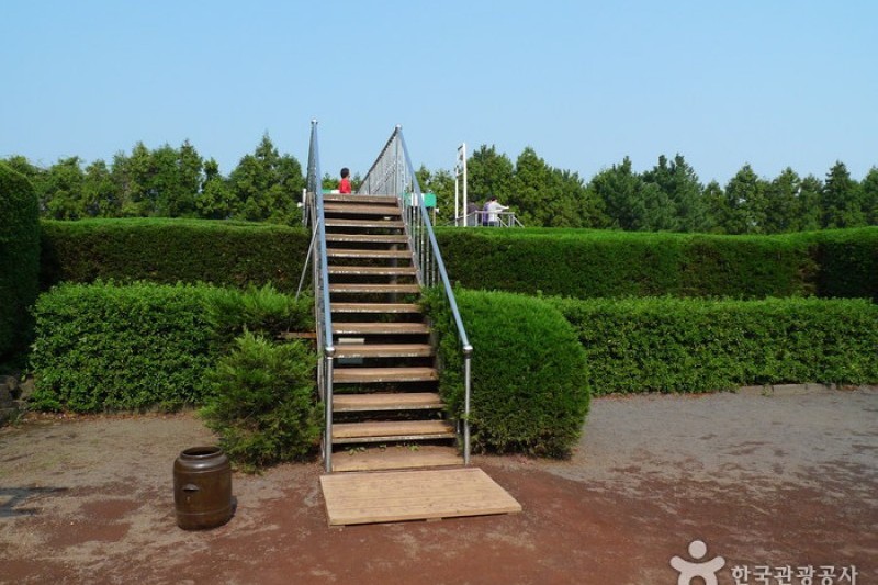 Gimnyeong Maze Park  (18/24)