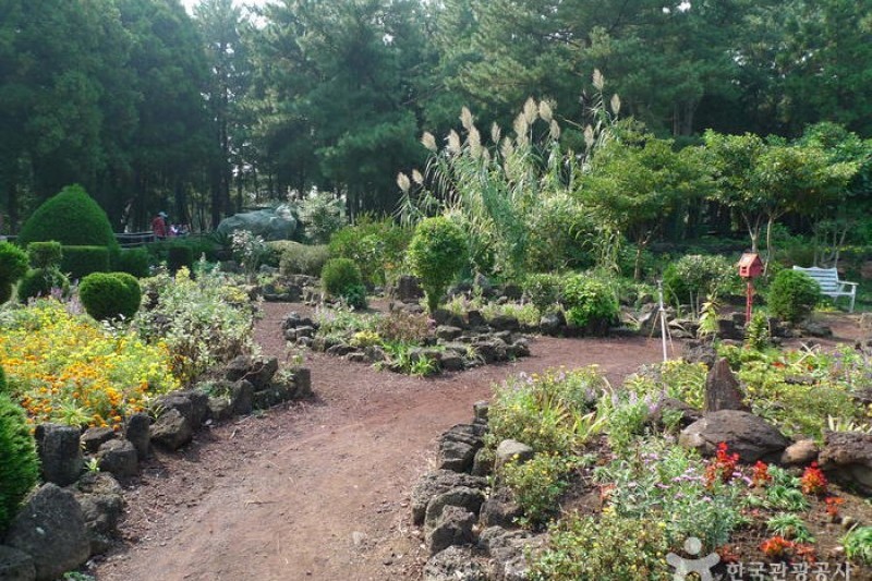 Gimnyeong Maze Park  (19/24)