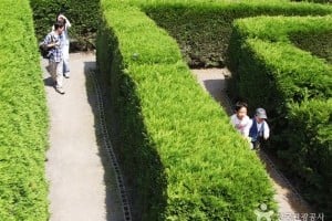 Gimnyeong Maze Park 