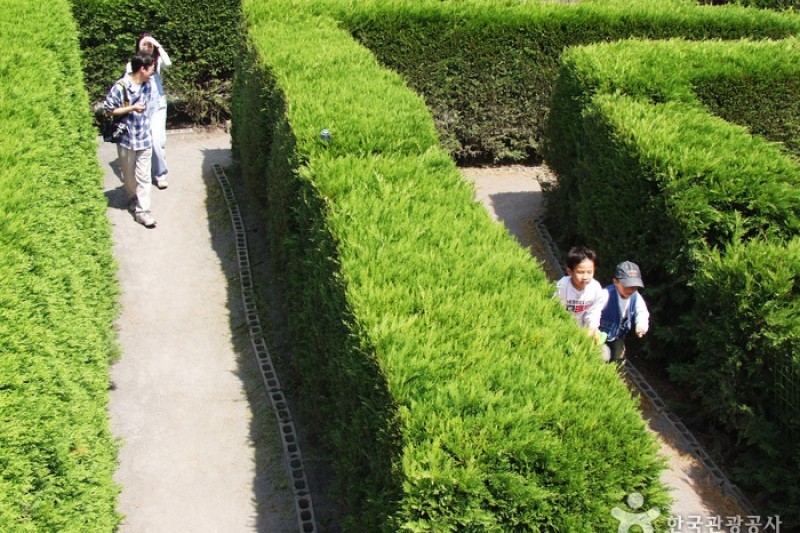 Gimnyeong Maze Park  (23/24)