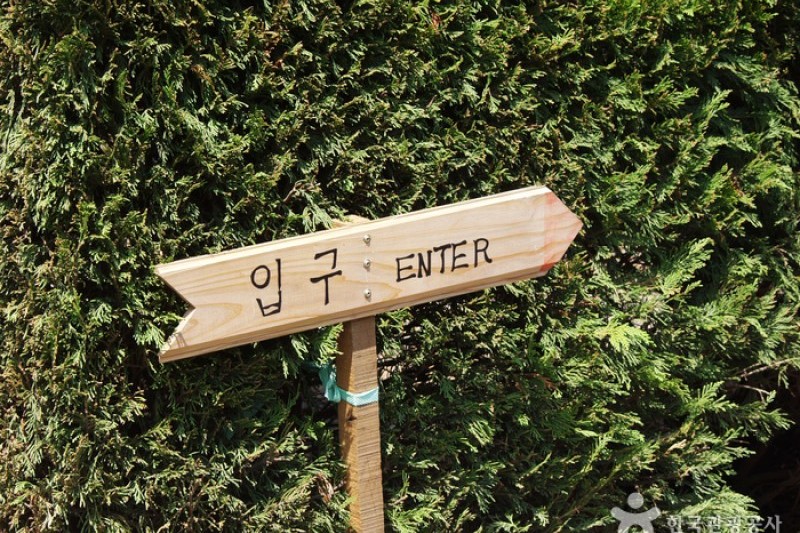 Gimnyeong Maze Park  (24/24)