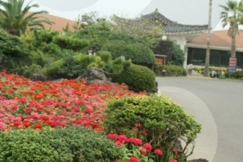 Jeju Folk Village Museum  (6/24)