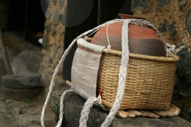 Jeju Folk Village Museum  (11/24)