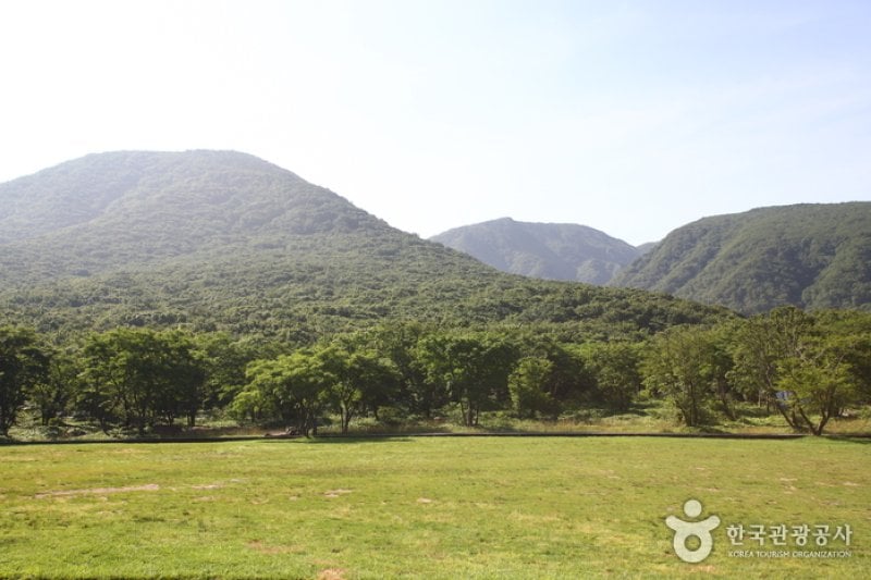 Hallasan Mountain Trekking  (1/2)