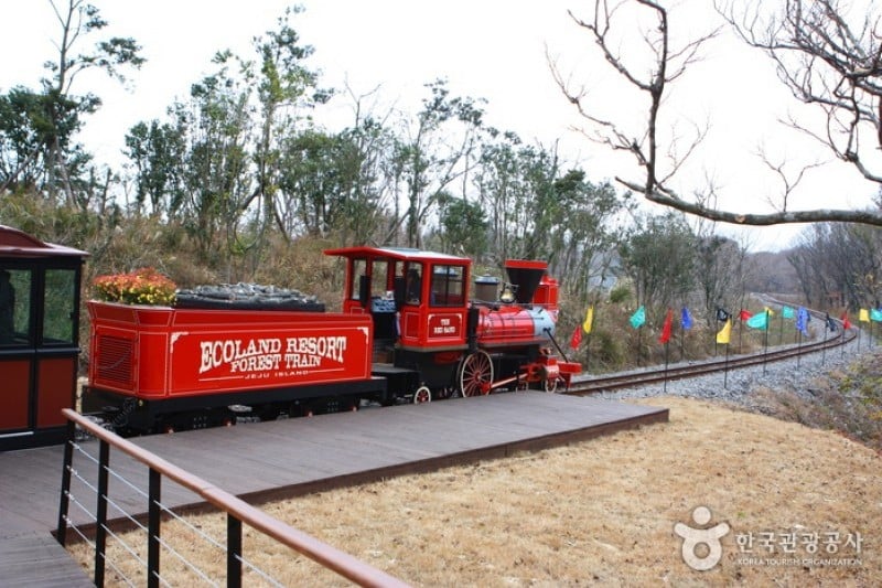 Eco Land Theme Park  (6/38)