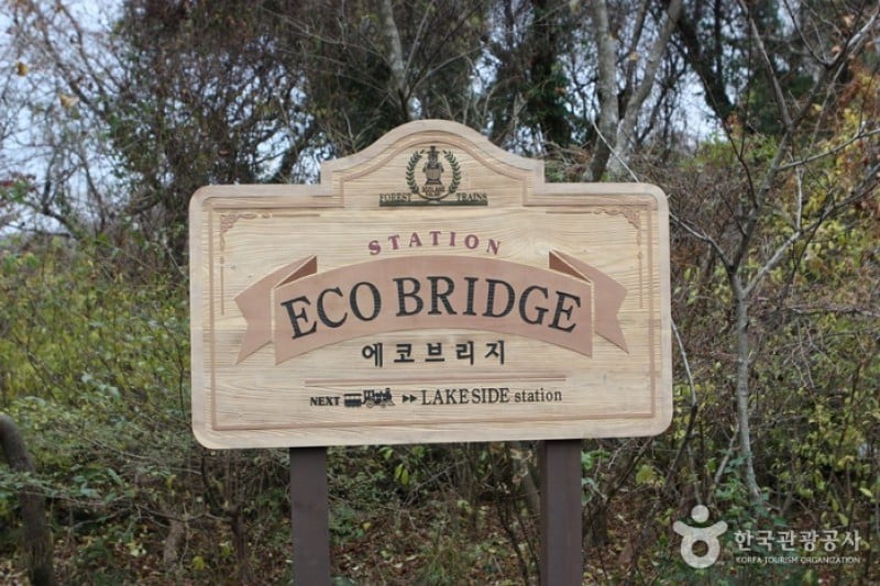 Eco Land Theme Park  (9/38)