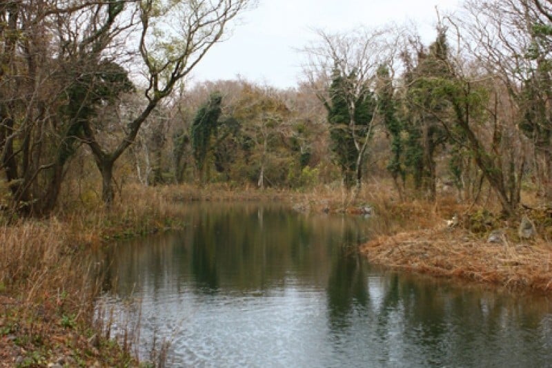Eco Land Theme Park  (12/38)