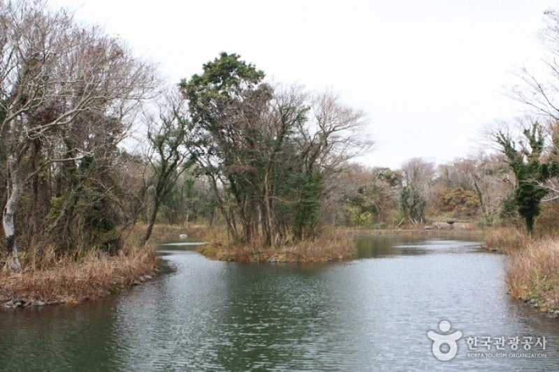 Eco Land Theme Park  (14/38)