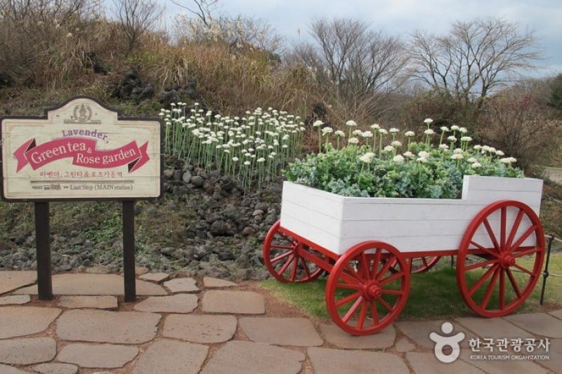 Eco Land Theme Park  (23/38)