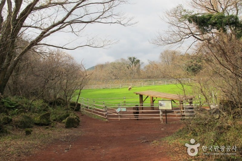 Eco Land Theme Park  (26/38)