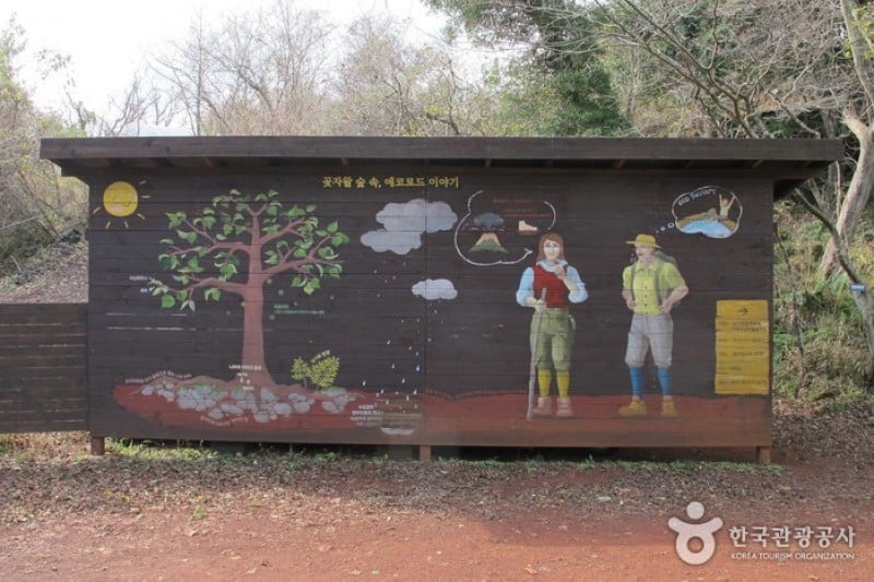 Eco Land Theme Park  (29/38)