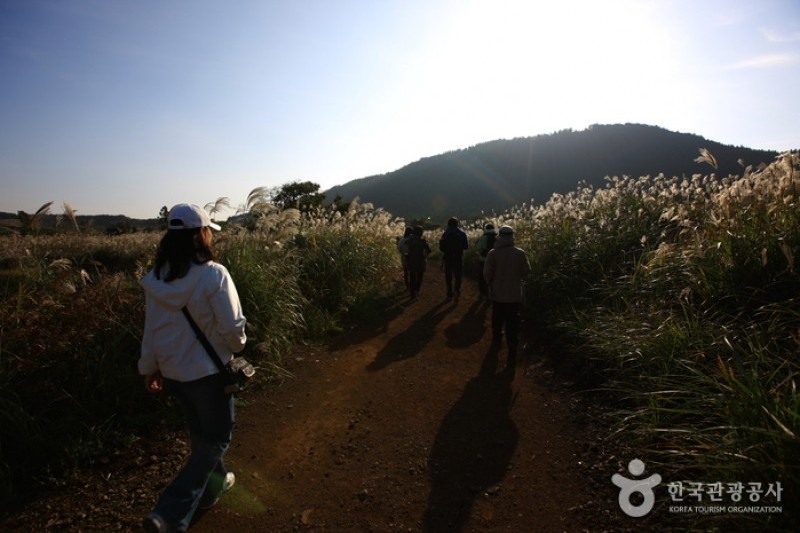 Geomun Oreum [UNESCO World Heritage]  (2/20)