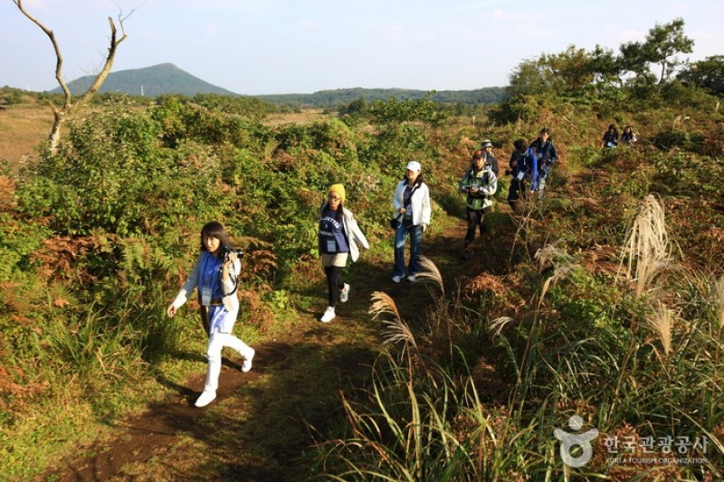 Geomun Oreum [UNESCO World Heritage]  (3/20)
