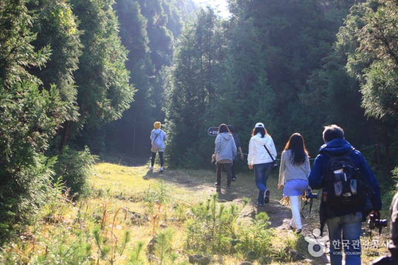 Geomun Oreum [UNESCO World Heritage]  (4/20)