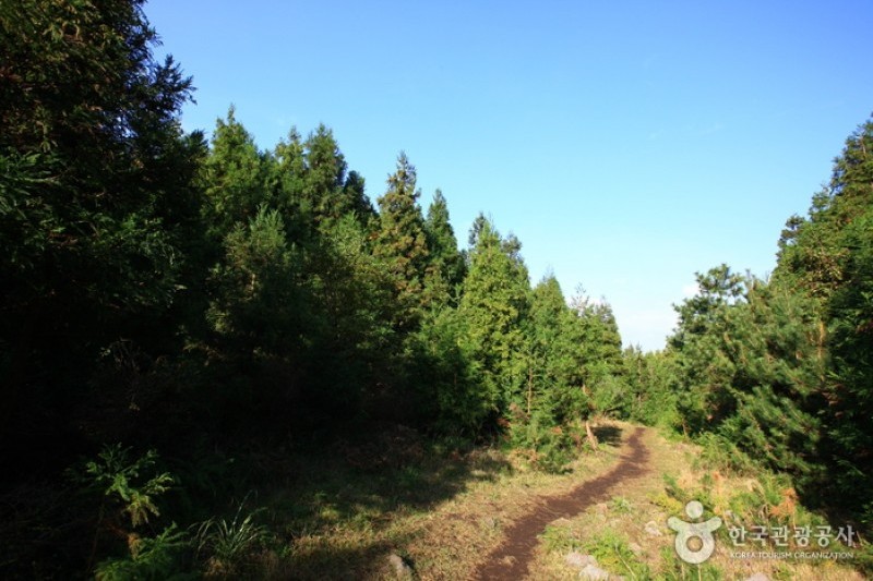 Geomun Oreum [UNESCO World Heritage]  (5/20)
