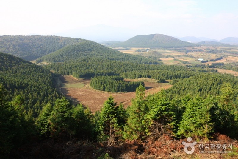 Geomun Oreum [UNESCO World Heritage]  (8/20)