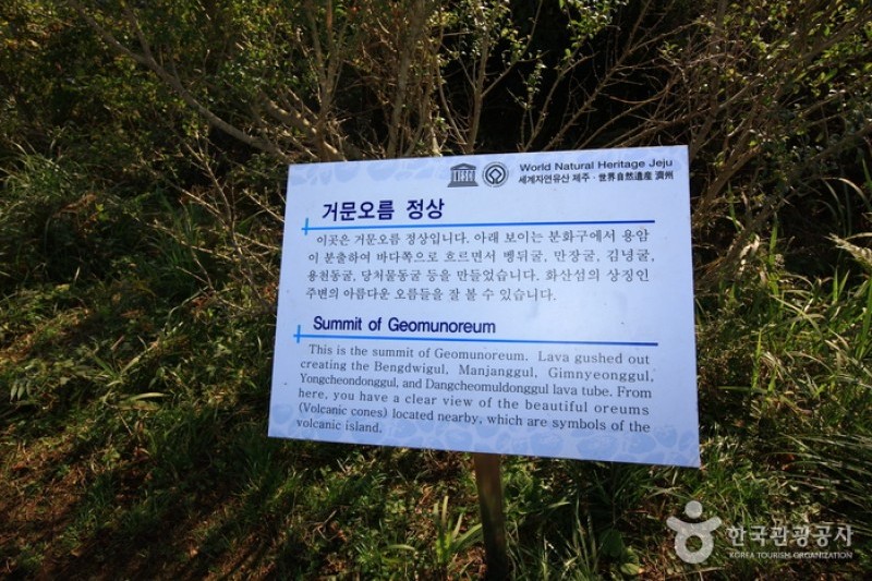 Geomun Oreum [UNESCO World Heritage]  (9/20)