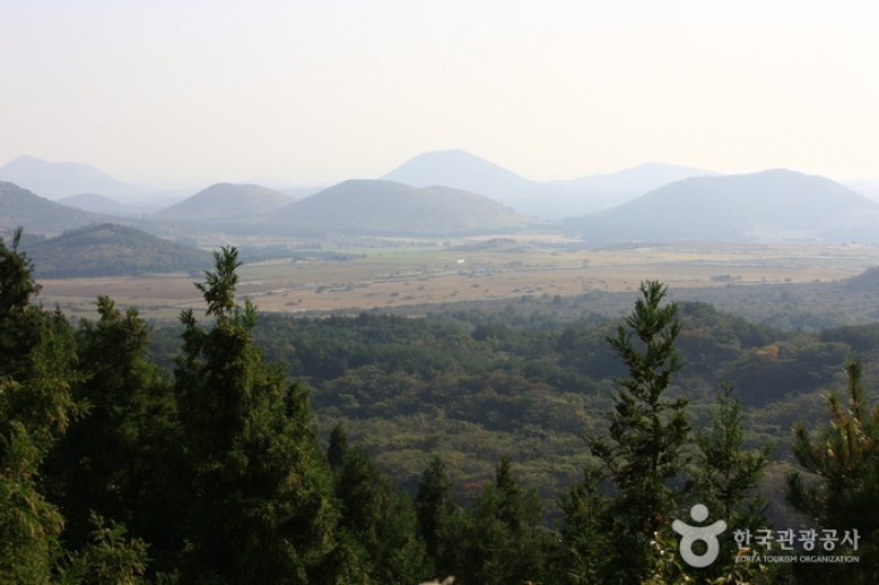 Geomun Oreum [UNESCO World Heritage]  (10/20)