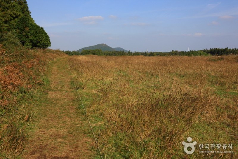 Geomun Oreum [UNESCO World Heritage]  (13/20)