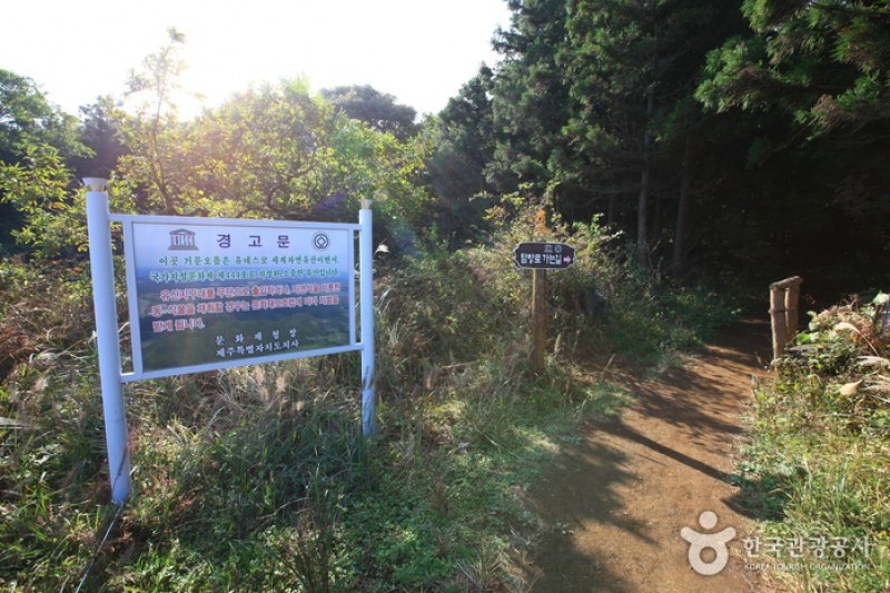 Geomun Oreum [UNESCO World Heritage]  (14/20)