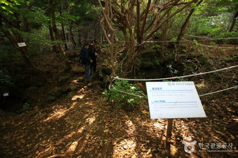 Geomun Oreum [UNESCO World Heritage]  (15/20)