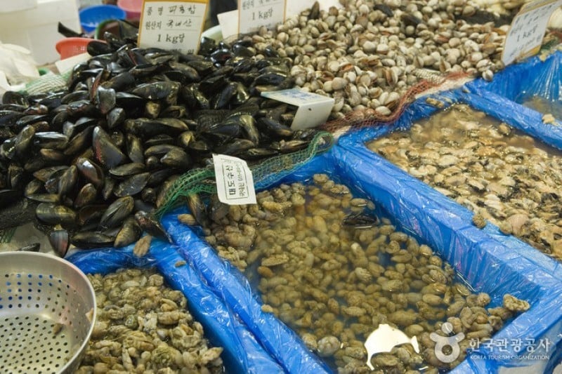 Seogwipo Maeil Olle Market  (4/9)