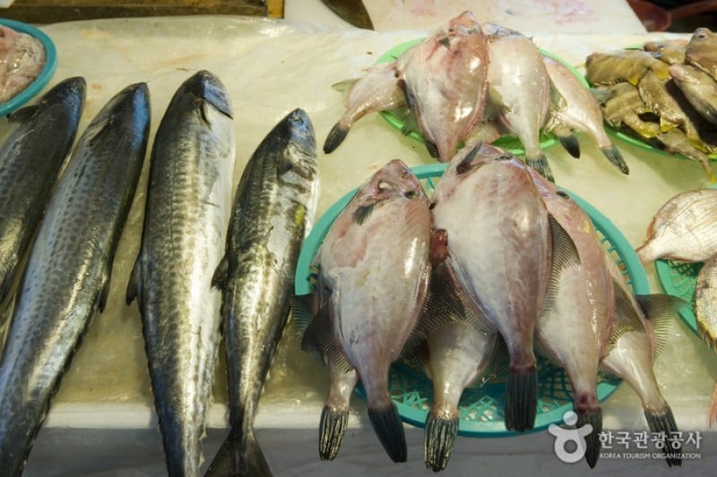 Seogwipo Maeil Olle Market  (5/9)