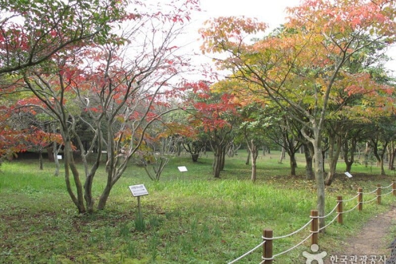 Halla Arboretum  (4/18)