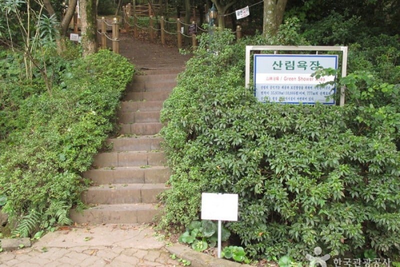 Halla Arboretum  (5/18)