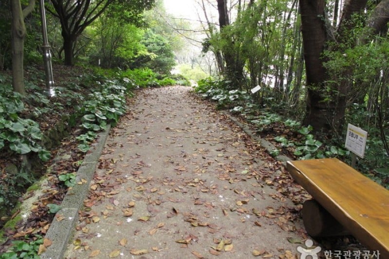 Halla Arboretum  (6/18)